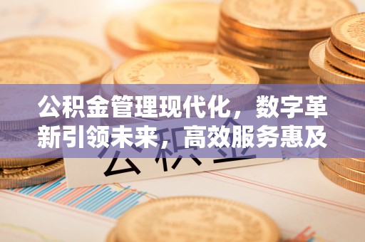 南昌公积金管理现代化，数字革新引领未来，高效服务惠及民生