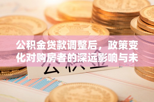 南昌公积金贷款调整后，政策变化对购房者的深远影响与未来趋势分析
