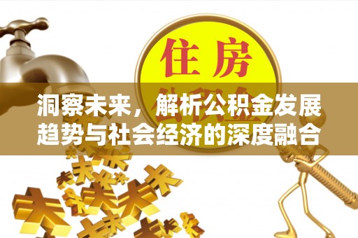 南昌洞察未来，解析公积金发展趋势与社会经济的深度融合