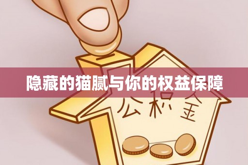 南昌隐藏的猫腻与你的权益保障