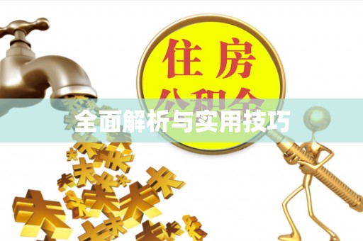 南昌全面解析与实用技巧