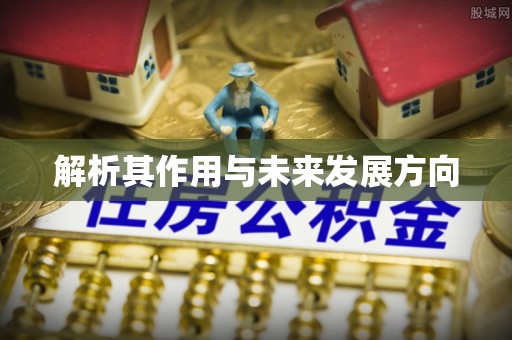南昌解析其作用与未来发展方向